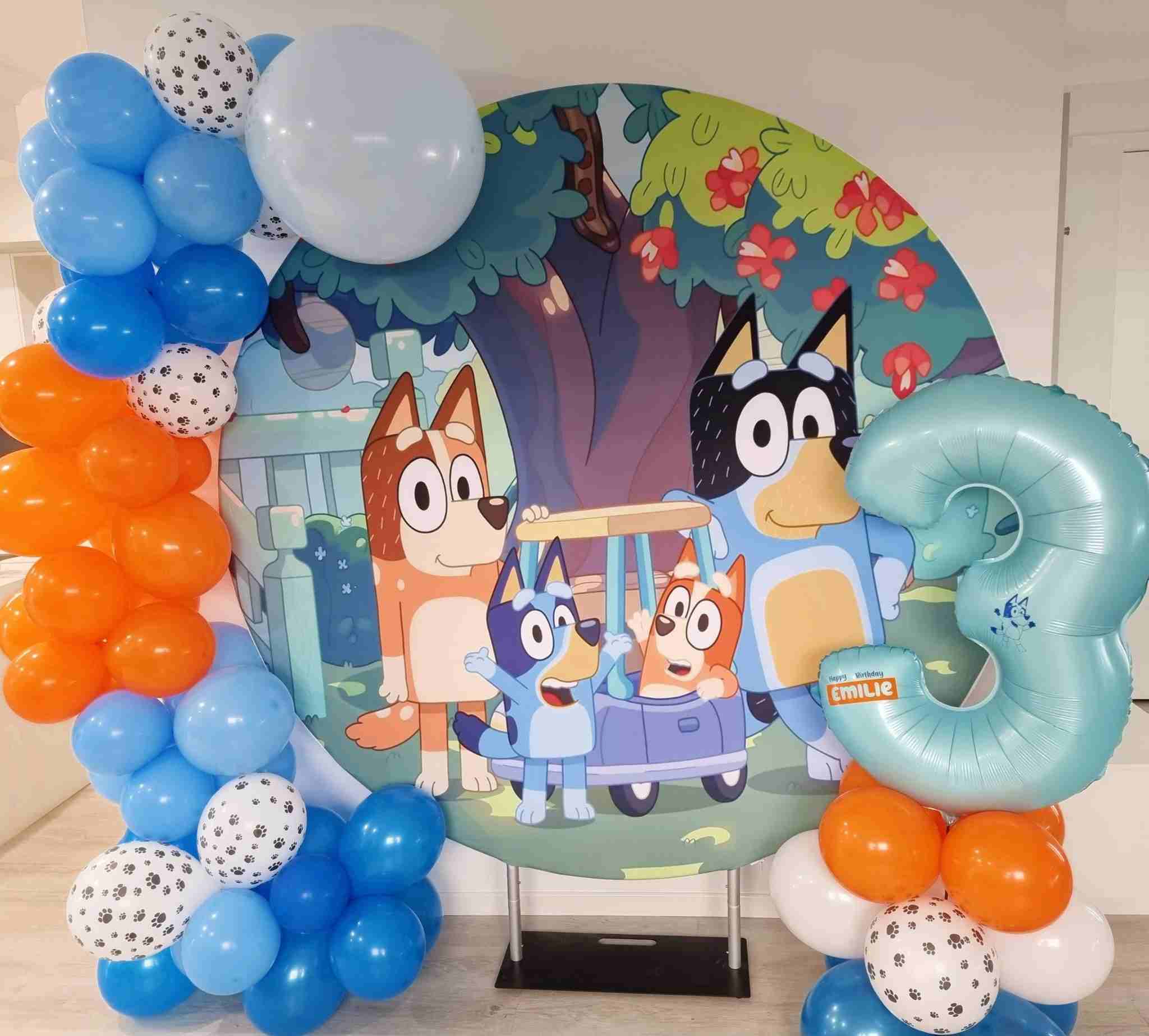 Party package - Custom Balloons Co Canberra